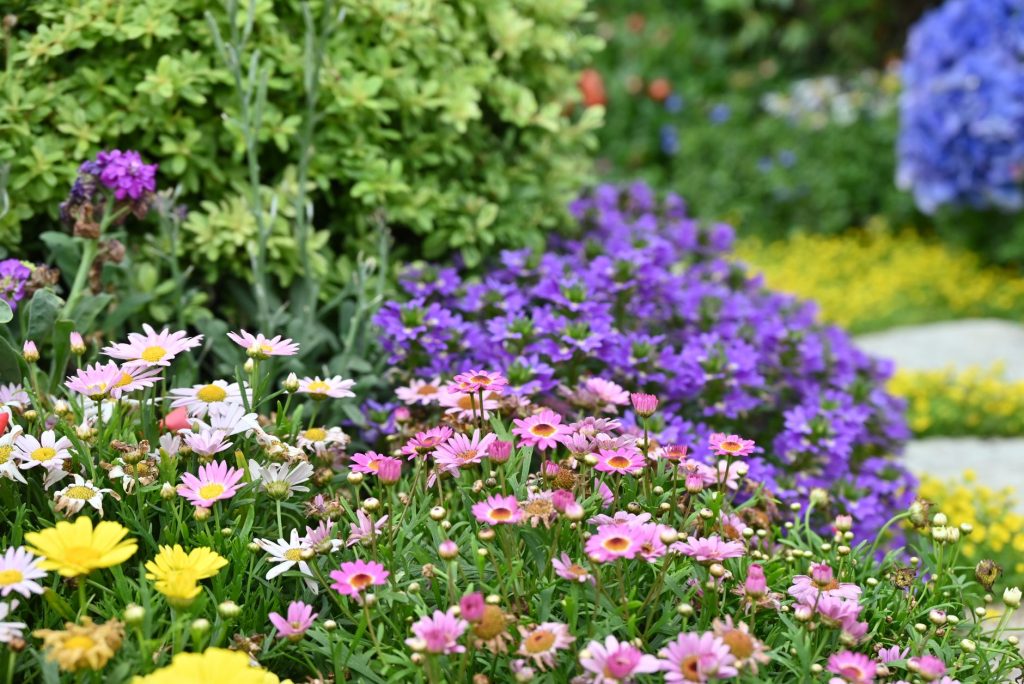 Gartenpflege & Grünflächen